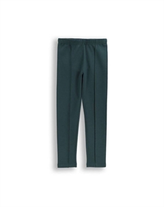 Леггинсы, зеленый Coccodrillo