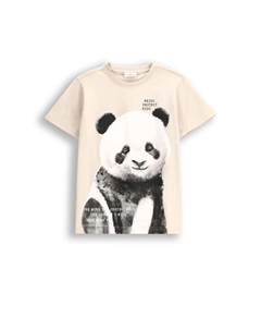 Футболка, бежевый Coccodrillo