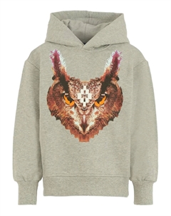 Свитер с капюшоном и принтом совы, серый Marcelo burlon county of milan