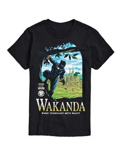 Мужская футболка с принтом "Черная пантера: Ваканда", черный Marvel