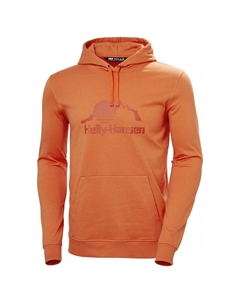 Толстовка с капюшоном NORD GRAPHIC - Sweatshirt, оранжевый Helly hansen