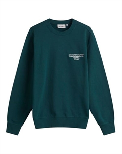 Толстовка выпускника, цвет dark fir Carhartt wip