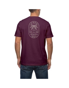 Мужская футболка с принтом "Рай", бургундия Reef
