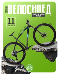 Горный велосипед Reload Evo 29, год 2024, цвет Черный, ростовка 22 Stinger