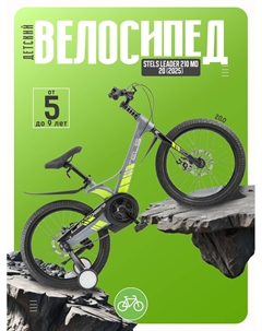 Детский велосипед Leader 210 MD 20, год 2025, цвет Серый Stels