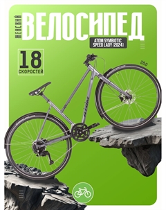 Женский велосипед Symbiotic Speed Lady, год 2024, цвет Серый, ростовка 20 Atom