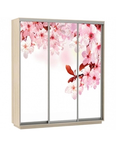 Шкаф-купе 3-х дверный Экспресс фото трио Сакура Дуб молочный 1800 Bravo