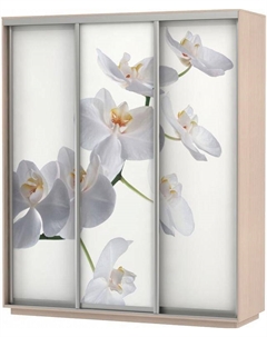 Шкаф-купе 3-х дверный Экспресс фото трио Орхидея Дуб молочный 1800 Bravo