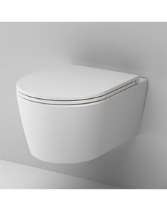 Унитаз подвесной Func C8F1700MWSC белый матовый, с крышкой микролифт Am.pm.