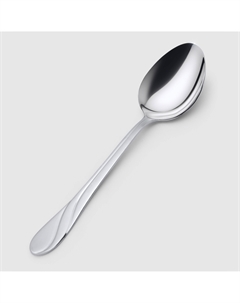 Ложка Service сервировочная 1 шт Nehir