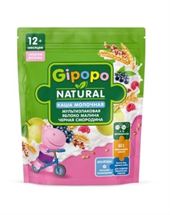Каша сухая молочная, мультизлаковая, чёрная смородина 200 г Gipopo