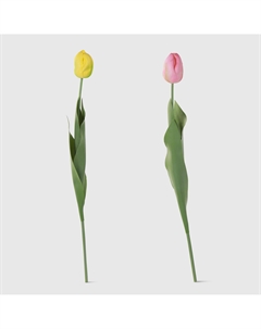 Цветок декоративный, в ассортименте 9х5х65 см Dekor pap