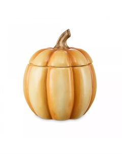 Банка для хранения Родная природа Тыковка 15,25х15,25х18,8 см Decor de table