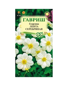 Семена Георгина Лента серебряная 0,2 г DH Гавриш