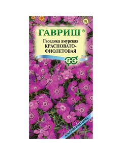 Семена Гвоздика амурская, Красновато-фиолетоваяx 0,02 г серия Альпийская горка DH Гавриш