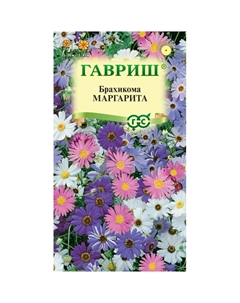 Семена Брахикома маргарита 0.02 г Гавриш