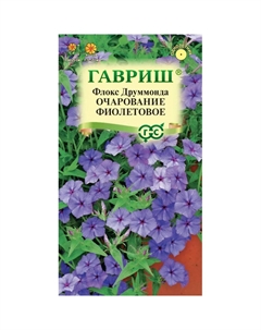 Семена Флокс Очарование фиолетовое, Друммондаx 0,05 г DH Гавриш