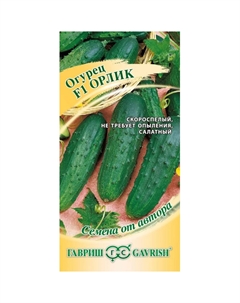 Семена Огурец Орлик F1 10 шт. автор. Гавриш