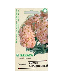 Семена Левкой седой Айрон абрикосовый 5 шт. Саката серия Эксклюзив Н22 Гавриш