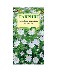 Семена Немофила Барбара (пятнистая) 0,3 г Гавриш