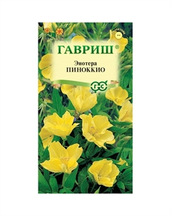 Семена Энотера Пиноккио (двулетняя) 0,3 г Гавриш