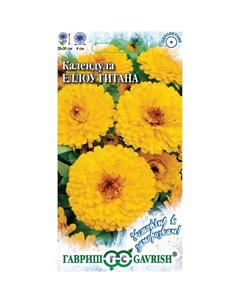 Семена Календула Еллоу Гитана 0,3 г серия Устойчив к заморозкам! Гавриш