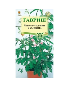 Семена Мимоза стыдливая Кампинаx 0,006 г Гавриш