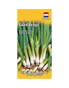 Семена Лук батун Байя Верде 0.2 г (Голландия) Гавриш