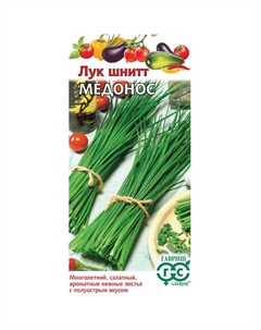 Семена Лук шнитт Медонос 0,005 г Гавриш