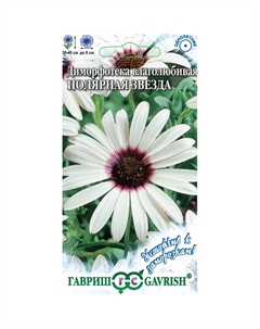 Семена Диморфотека Полярная звезда 0,006 г серия Устойчив к заморозкам! Гавриш