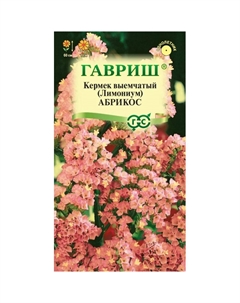 Семена Кермек (Лимониум) выемчатый Абрикосx 0,05 г Гавриш