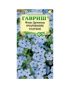 Семена Флокс Очарование голубое, Друммондаx 0,05 г Гавриш