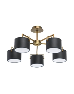 Потолочная люстра Сайрус 2 721010205 Mw-light