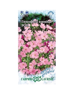 Семена Гипсофила изящная, Роза 0,006 г серия Устойчив к заморозкам! Гавриш