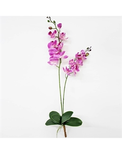 Орхидея фаленопсис с листьями KR_792 90 см Конэко-о