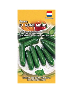 Семена Огурец Бэби Мини F1 5 шт. (Голландия) Гавриш