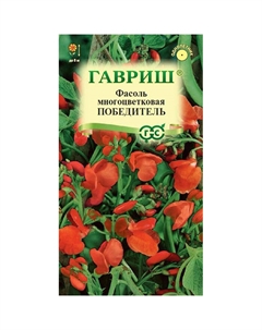 Семена Фасоль декоративная Победитель 5 шт Гавриш