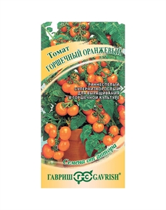 Семена Томат Горшечный оранжевый 0,05 г автор. Н21 Гавриш