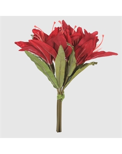 Букет лилии 24714 Конэко-о