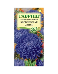 Семена Астра Королевская синяя, однолетняя (пионовидная) 0,3 г Гавриш