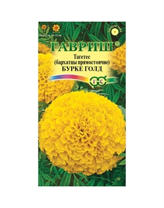 Семена Бархатцы пр. Бурке Голд (Тагетес) 0,3 г DH Гавриш