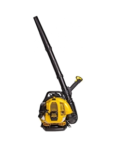 Воздуходувка Champion gbr333