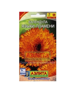 Календула "Языки пламени" Аэлита