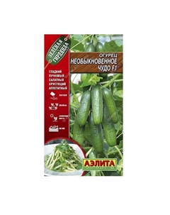 Огурец "Необыкновенное чудо" Аэлита