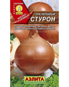 Лук "Стурон" Аэлита