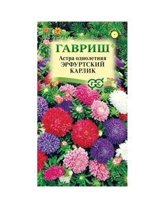 Семена Астра эрфуртский карлик однол.смесь0.3 г Гавриш