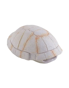 Убежище-декор панцирь черепахи 13х9х5 (PT2927) Exo terra