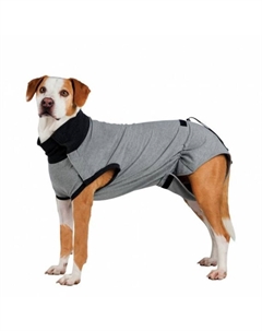 Попона защитная для собак XS–S, длина спины 30 см, из хлопка с эластаном серая Trixie