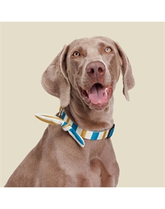 Ошейник для собак и кошек с бантиком Аквамарин, L, обхват шеи 40-55 см, ширина 2,5 см, голубой Rurri