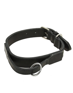 Ошейник кожаный с ручкой для собак, ширина 2,5 см, обхват шеи 40-55 см, черный Каскад